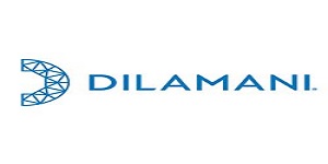 brand: Dilamani Jewelry